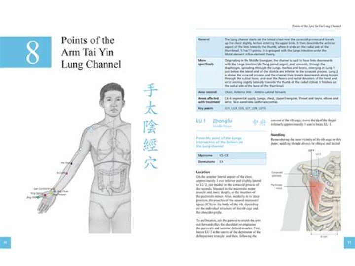 Definitive Guide To Body Hisashi: Techniques And Benefits