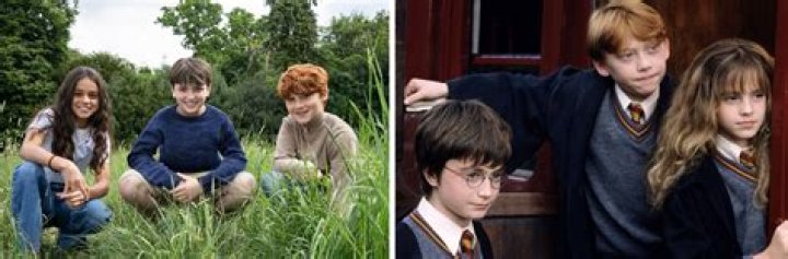 Did Julie Walters Appear In The Harry Potter Films?