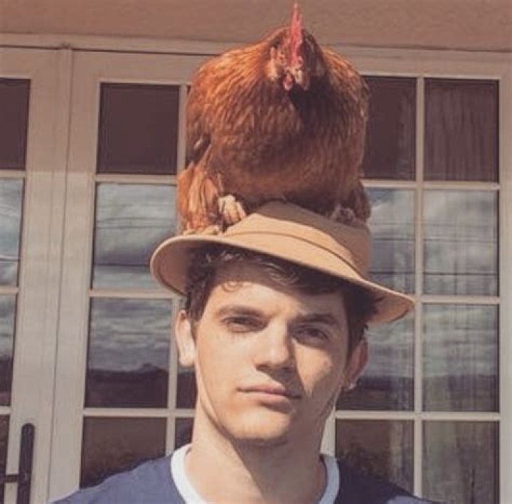 Facts Uncovered: Edward Bluemel's Height Revealed