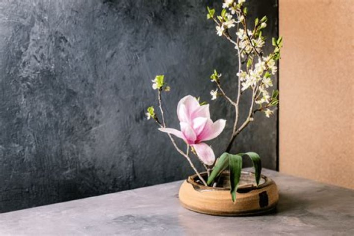 Hisachi Ochi: The Art Of Japanese Ikebana