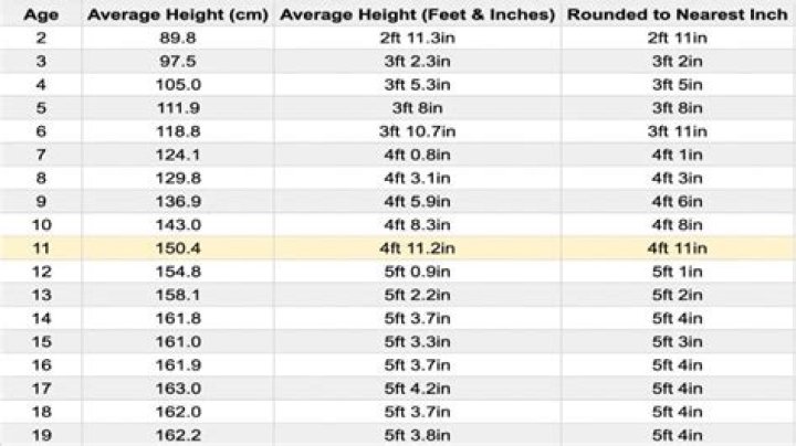 How Tall Is Ice Spice? A Comprehensive Guide To Her Height