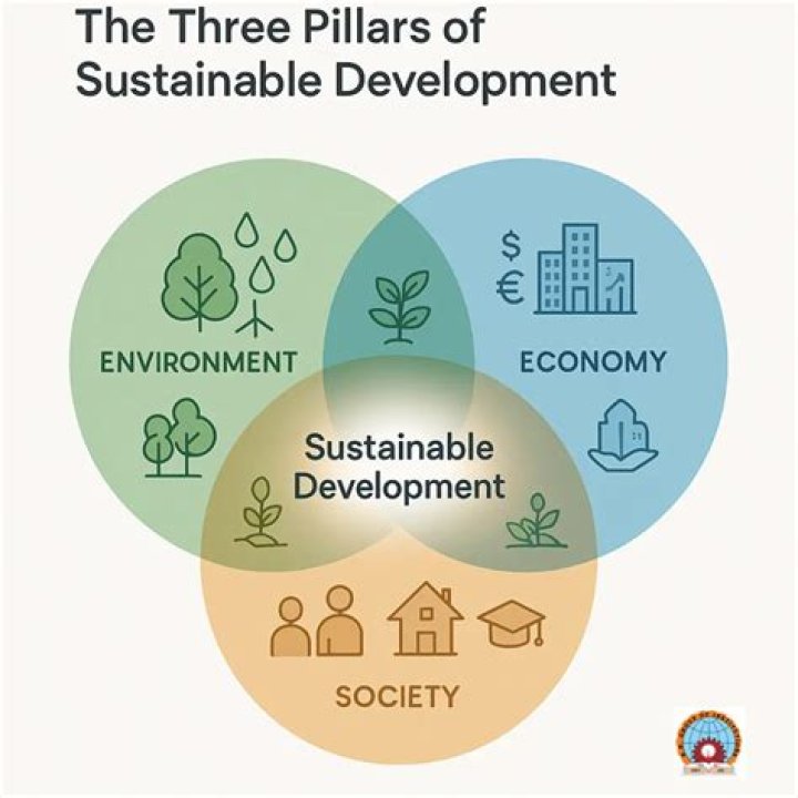 Mounir Nasraou: An Expert In Sustainable Development