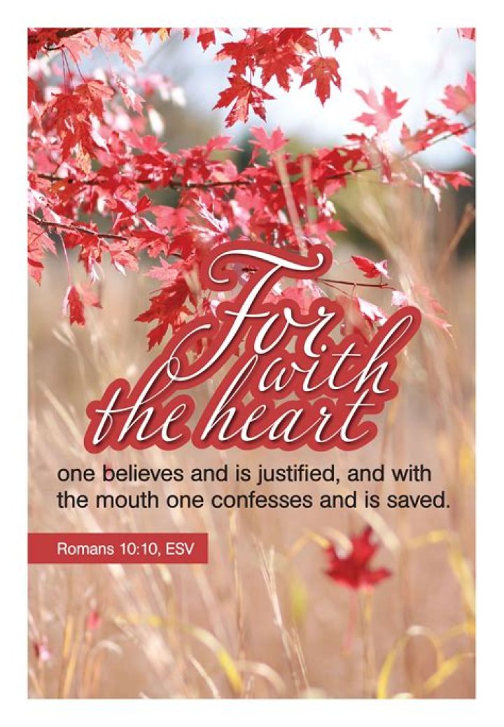 Profess Your Undying Love: A Heartfelt Paragraph Declaring Your Adoration