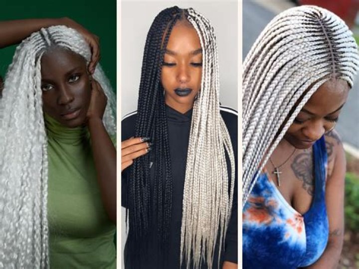 Ravishing Black And White Braids Hairstyles To Turn Heads