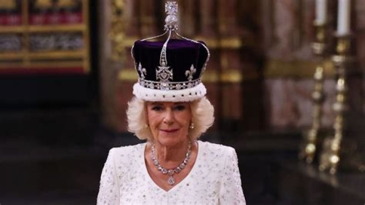 The Latest Camilla.araujoleaks News And Updates