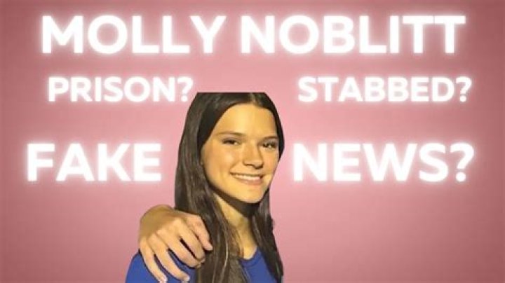 Timeline Of Molly Noblitt Stabbing Incident: A Tragic Event