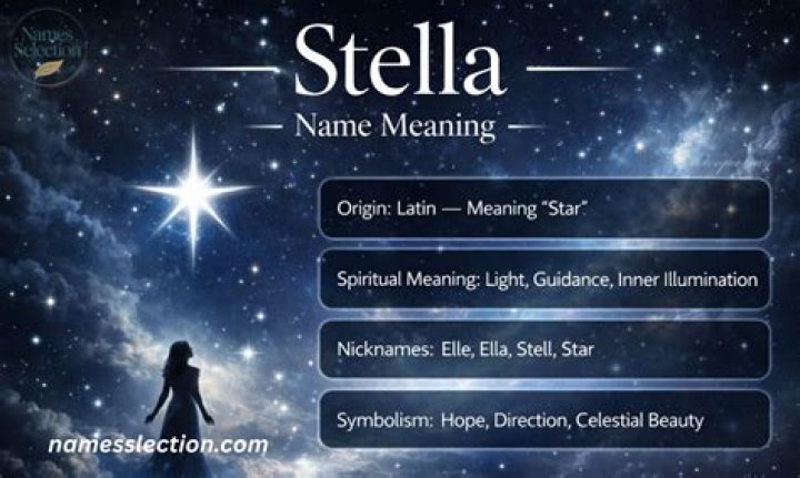 Ultimate Guide To Cop Nicknames: Unveiling The Secrets And Meanings