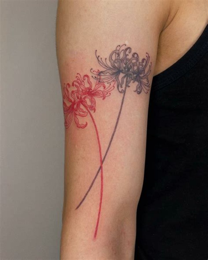 Uncover The Enigmatic Meaning Behind The Black Spider Lily Tattoo