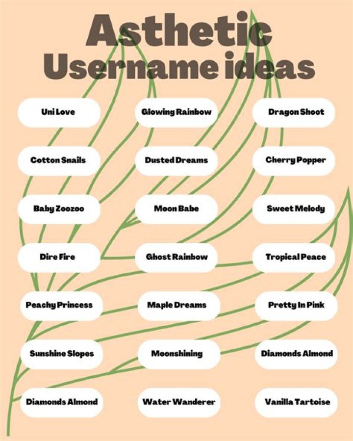 Unleash Your Creativity: Find The Perfect OnlyFans Username Ideas